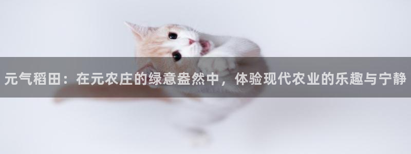 天顺娱乐拷33300j