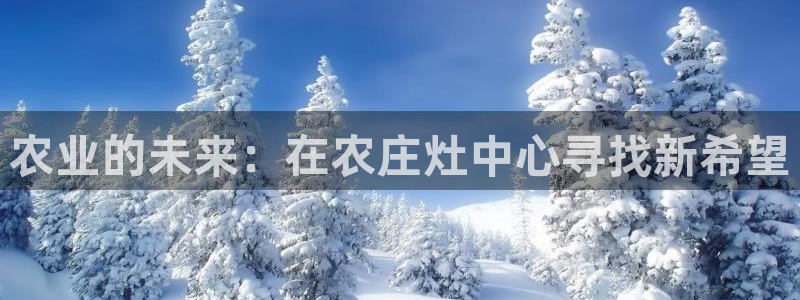 天顺娱乐主管兹徽qv963 03蓉