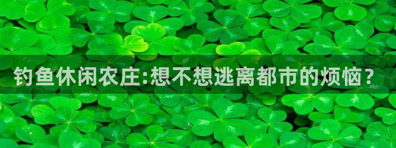 天顺娱乐负责人矛动p29999