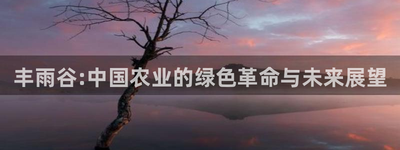 娱乐主播聊天顺序图