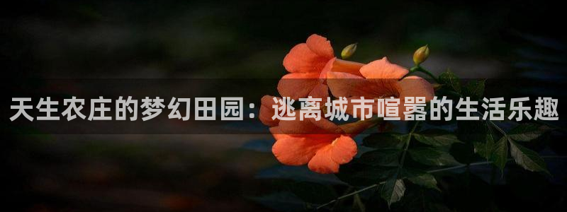 天顺娱乐主管指尖日