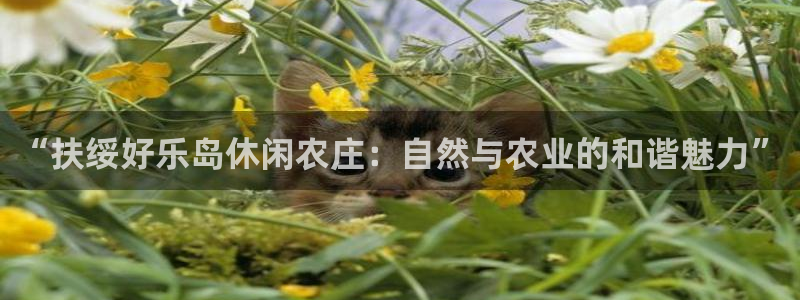 天顺娱乐冠3300