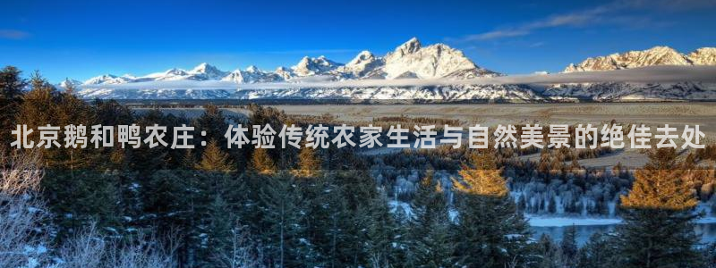 天顺娱乐皿675138