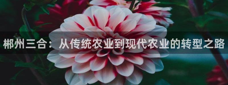 天顺娱乐29999畔卡