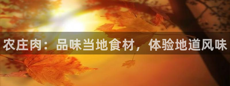 天顺娱乐阶943994