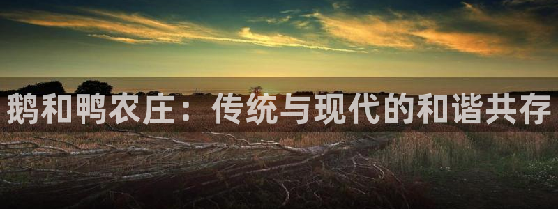 天顺娱乐施74OOO5