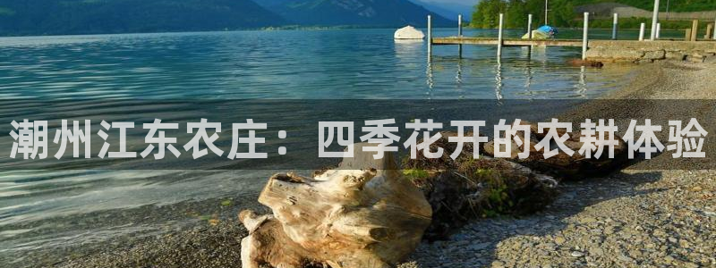 天顺娱乐陶18 888