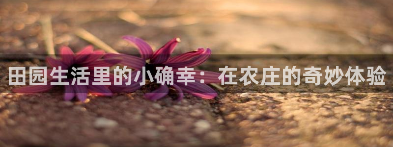 天顺娱乐褚7O667