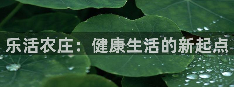 天顺娱乐平台开户