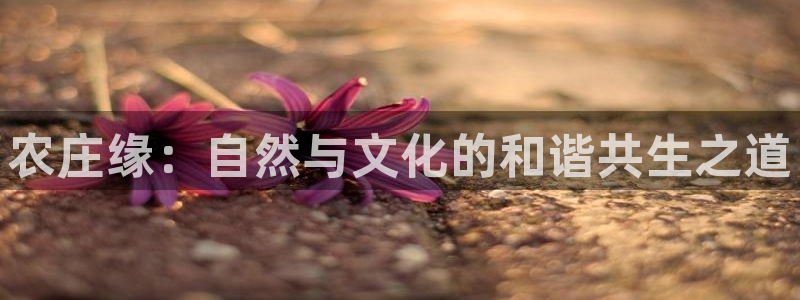 天顺国际娱乐会所 招聘