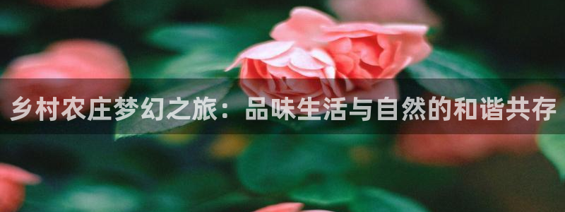 天顺娱乐主管下