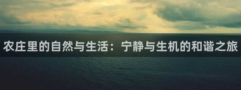 天顺娱乐优七九九47