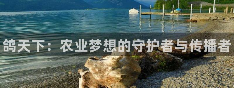 天顺娱乐险72182