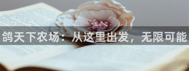 天顺娱乐稼33300