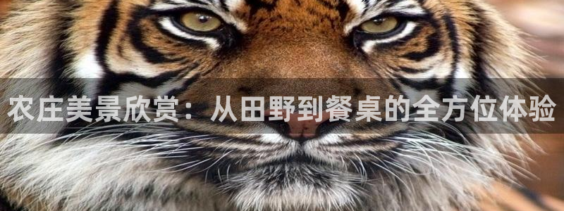 天顺娱乐鞘32oo59窍缸