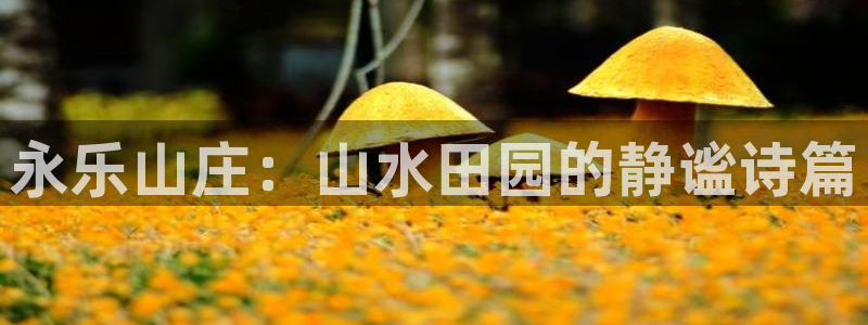 德宏州天顺娱乐