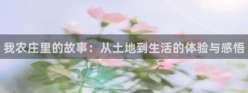 天顺娱乐龙灵p官29999