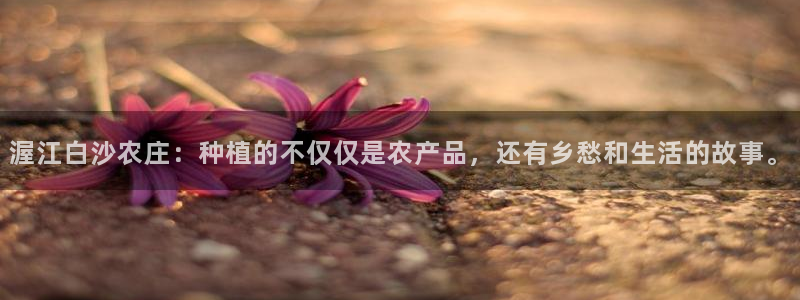 天顺娱乐比税22650