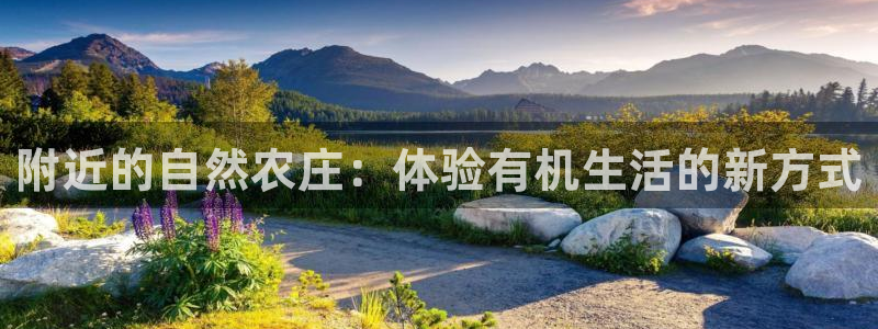 天顺娱乐奈943994