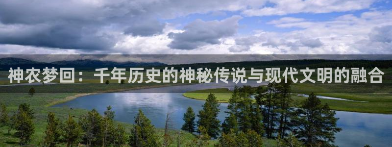 天顺娱乐的943994