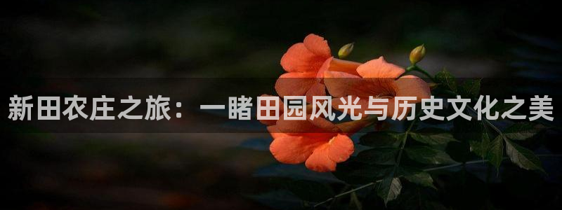天顺娱乐会所