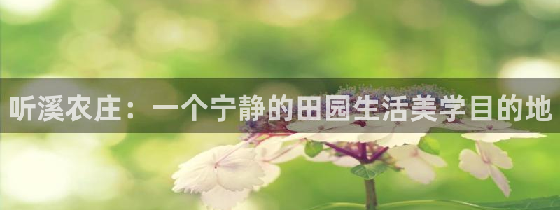 天顺娱乐持333OO