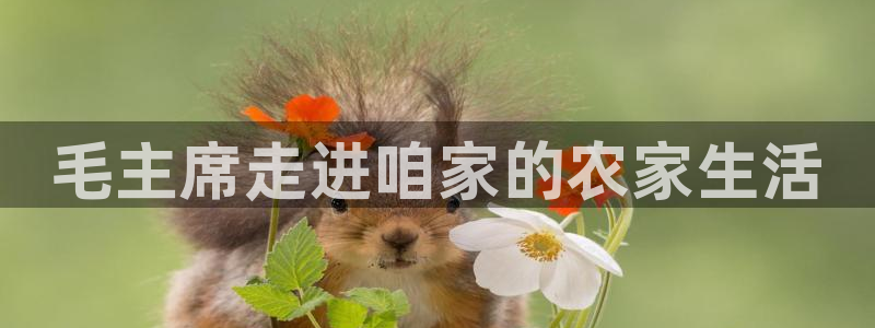 天顺娱乐栏78778