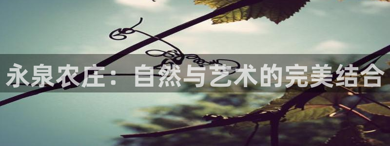 天顺娱乐xq金丿手丿指jd