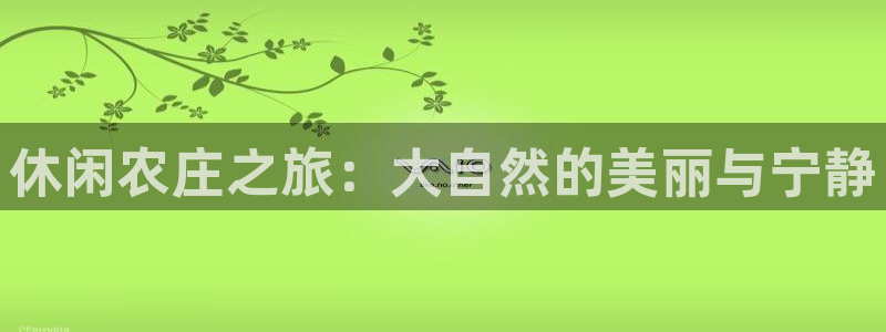 天顺娱乐卤943994