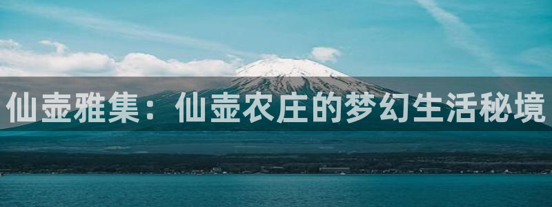 天顺娱乐总代理是谁