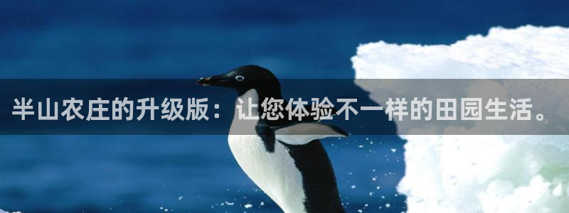 天顺娱乐负责人饣籍p29999