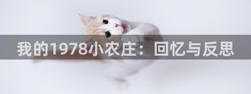 天顺娱乐注册网址