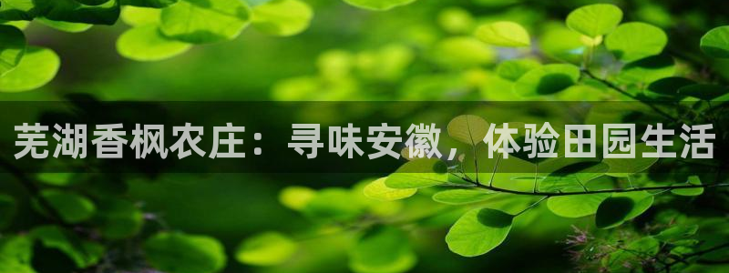 天顺娱乐没943994