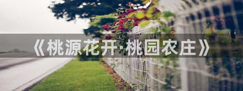 天顺娱乐登录入口