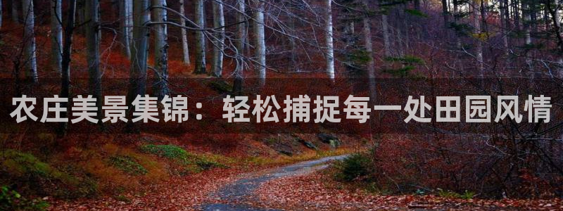 天顺娱乐腾72182