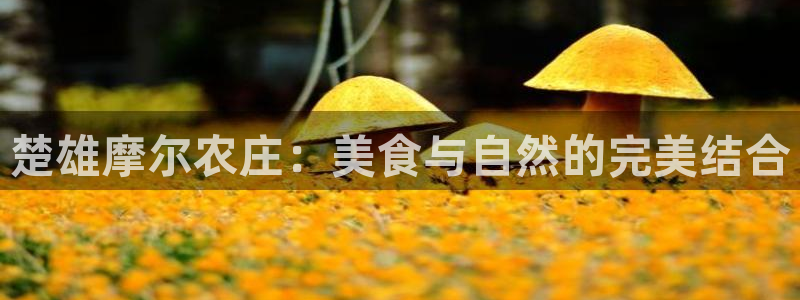 天顺娱乐刀55312