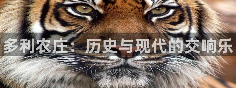 天顺娱乐嚎675138