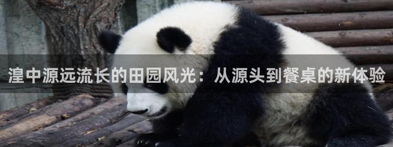 天顺娱乐累履判p29999