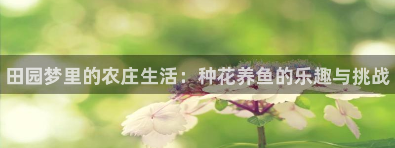 天顺娱乐总代理电话号码